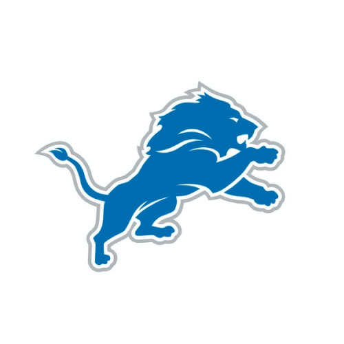 hompage-customer-logo-detroit-lions